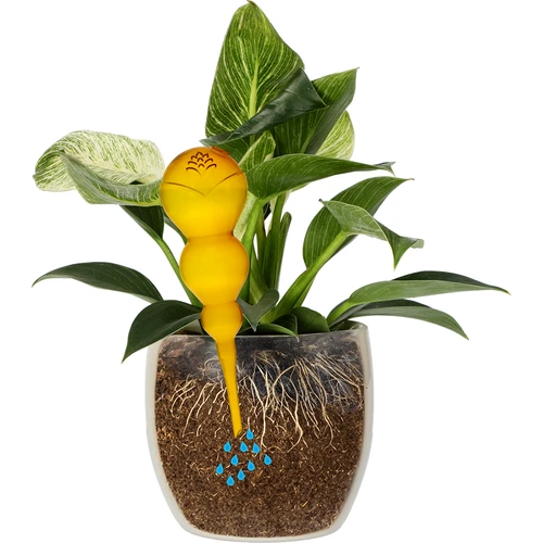Drievoudige gietbal (driekamer), transparant geel, 600 ml - 3 ['gieters', ' bloemen waterdispenser', ' voor het water geven van bloemen', ' bloemenbevochtigers', ' bloemenirrigatie', ' plantenirrigatie', ' potirrigators', ' voor het water geven van bloemen', ' voor kamerplanten', ' irrigatiesysteem', ' gietbal', ' waterdispenser voor potten', ' plantenballen', ' plantendispenser', ' planten water geven', ' gietbal', ' drievoudige gietballen', ' decoratieve plantenirrigators', ' praktische gietballen', ' ruime gietballen', ' transparante doorzichtige gietballen', ' gekleurde gietballen voor plantenirrigatie', ' gele plantenballen']