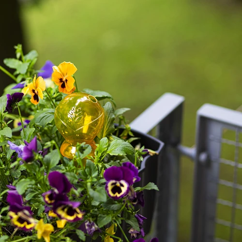 Drievoudige gietbal (driekamer), transparant geel, 600 ml - 8 ['gieters', ' bloemen waterdispenser', ' voor het water geven van bloemen', ' bloemenbevochtigers', ' bloemenirrigatie', ' plantenirrigatie', ' potirrigators', ' voor het water geven van bloemen', ' voor kamerplanten', ' irrigatiesysteem', ' gietbal', ' waterdispenser voor potten', ' plantenballen', ' plantendispenser', ' planten water geven', ' gietbal', ' drievoudige gietballen', ' decoratieve plantenirrigators', ' praktische gietballen', ' ruime gietballen', ' transparante doorzichtige gietballen', ' gekleurde gietballen voor plantenirrigatie', ' gele plantenballen']