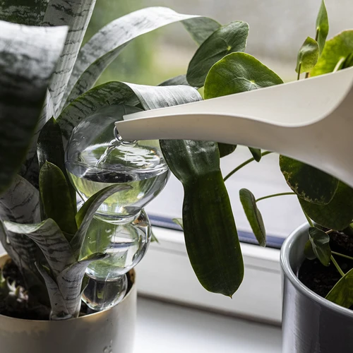 Drievoudige gietbal (driekamer), transparant kleurloos, 600 ml - 6 ['gieters', ' bloemen waterdispenser', ' voor het water geven van bloemen', ' bloemenbevochtigers', ' bloemenirrigatie', ' plantenirrigatie', ' potirrigators', ' voor het water geven van bloemen', ' voor kamerplanten', ' irrigatiesysteem', ' gietbal', ' waterdispenser voor potten', ' plantenballen', ' plantenwaterdispenser', ' planten water geven', ' gietbal', ' drievoudige gietballen', ' decoratieve plantenirrigators', ' praktische gietballen', ' ruime gietballen', ' transparante doorzichtige gietballen', ' kleurloze gietbal']