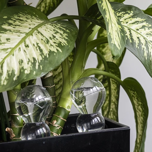 Drievoudige gietbal (driekamer), transparant kleurloos, 600 ml - 8 ['gieters', ' bloemen waterdispenser', ' voor het water geven van bloemen', ' bloemenbevochtigers', ' bloemenirrigatie', ' plantenirrigatie', ' potirrigators', ' voor het water geven van bloemen', ' voor kamerplanten', ' irrigatiesysteem', ' gietbal', ' waterdispenser voor potten', ' plantenballen', ' plantenwaterdispenser', ' planten water geven', ' gietbal', ' drievoudige gietballen', ' decoratieve plantenirrigators', ' praktische gietballen', ' ruime gietballen', ' transparante doorzichtige gietballen', ' kleurloze gietbal']