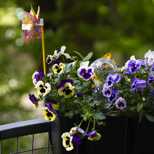Drievoudige gietbal (driekamer), transparant kleurloos, 600 ml - 9 ['gieters', ' bloemen waterdispenser', ' voor het water geven van bloemen', ' bloemenbevochtigers', ' bloemenirrigatie', ' plantenirrigatie', ' potirrigators', ' voor het water geven van bloemen', ' voor kamerplanten', ' irrigatiesysteem', ' gietbal', ' waterdispenser voor potten', ' plantenballen', ' plantenwaterdispenser', ' planten water geven', ' gietbal', ' drievoudige gietballen', ' decoratieve plantenirrigators', ' praktische gietballen', ' ruime gietballen', ' transparante doorzichtige gietballen', ' kleurloze gietbal']