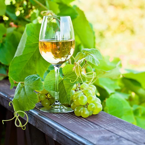 Enovini® OK WHITE - wijngist die de zuurgraad verlaagt 7 g - 9 ['gist voor appels', ' gist voor witte druiven', ' wijn van appels', ' wijn van druiven', ' gist die de zuurgraad verlaagt', ' gist voor witte wijnen', ' gedroogde gist', ' huisgemaakte wijn', ' gist die de zuurgraad vermindert']