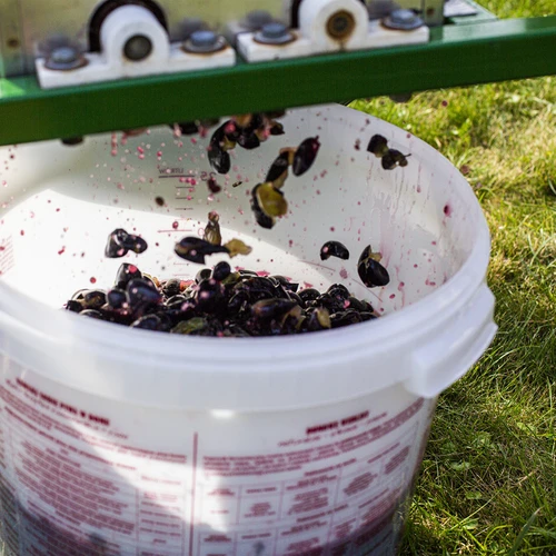 Fermentatiecontainer met deksel 30 L - 18 ['fermentatiecontainer', ' fermentatie-emmer', ' fermentatie-emmertje', ' fermentatiecontainers', ' fermentatiecontainer voor wijn', ' fermentatiecontainers voor wijn', ' biowin fermentatie-emmer', ' browin fermentatie-emmer']