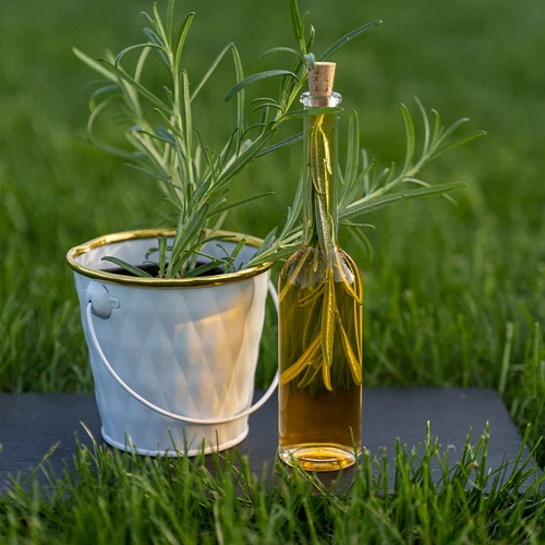 Fles voor likeur 100 ml 6 stuks + 6 kurken - 10 ['fles voor alcohol', ' decoratieve flessen voor alcohol', ' glazen fles voor alcohol', ' flessen voor zelfgestookte drank voor bruiloft', ' fles voor likeur', ' fles voor wijn', ' flessen voor wijn', ' likeur']