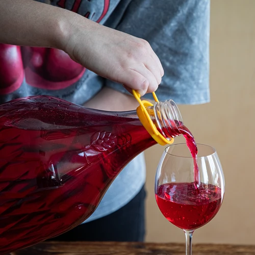 Gąsior Dama 5 L PET, z zakrętką i uchwytem - 5