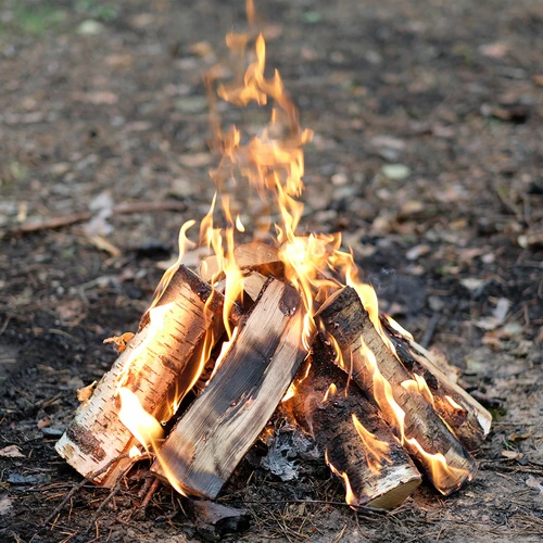 Gelbrandstof voor rookovens 1 L - 9 ['aanmaakblokjes voor barbecue', ' aanmaakblokjes voor rokerij']