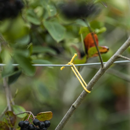 Gele katoenen koord 2 mm/55 m/100 g - 7 ['katoenen koord', ' katoenen touw', ' koord voor delicate planten', ' natuurlijk koord', ' ecokoord', ' koord voor macramé', ' koord voor binden', ' koord voor handwerk', ' koord voor aanspannen', ' gele koord', ' gele touw']