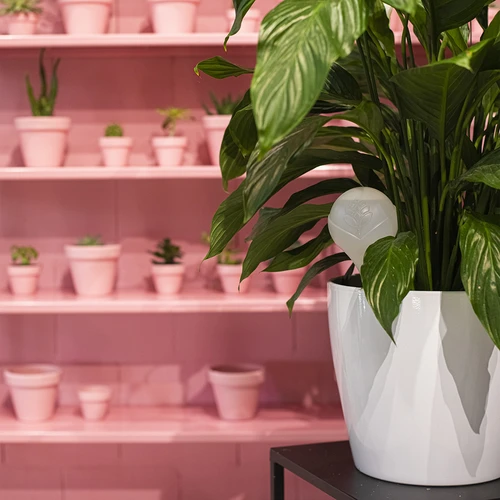 Gietbal voor planten, mat wit met keramische voet, 400ml - 10 ['gieters', ' bloemen waterdispenser', ' voor het water geven van bloemen', ' bloemenbevochtigers', ' bloemenirrigatie', ' plantenirrigatie', ' potirrigators', ' voor kamerplanten', ' irrigatiesysteem', ' gietbal', ' waterdispenser voor potten', ' plantenballen', ' plantenwaterdispenser', ' planten water geven', ' witte gietballen', ' gietballen met keramische voet', ' keramische voet', ' gekleurde gietballen', ' gietballen met kleivoet', ' gietballen die van bovenaf worden gevuld', ' dispensers die van bovenaf worden gevuld', '']