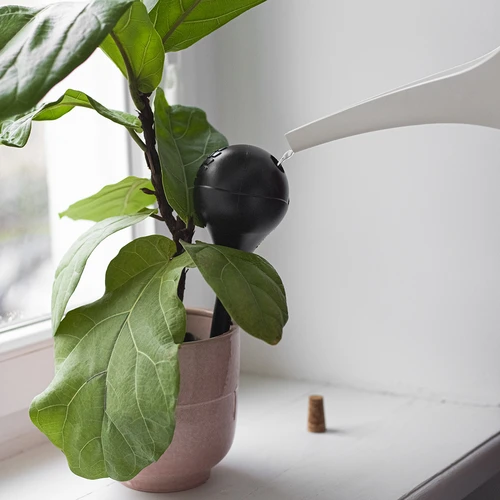 Gietballen voor planten, matzwart, met kurk, 400ml, 4 stuks - 12 ['gieters', ' bloemen waterdispenser', ' voor het water geven van bloemen', ' bloemenbevochtigers', ' bloemenirrigatie', ' plantenirrigatie', ' potirrigators', ' voor het water geven van bloemen', ' voor kamerplanten', ' irrigatiesysteem', ' gietbal', ' waterdispenser voor potten', ' plantenballen', ' plantendispenser', ' planten water geven', ' gietbal', ' van bovenaf vulbare gietballen', ' van bovenaf vulbare dispensers', ' gietballen met kurk', ' zwarte gietballen', ' loftontwerp']