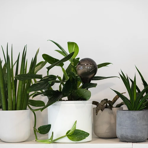 Gietballen voor planten, zwart transparant, 400 ml, 4 stuks - 10 ['gieters', ' bloemen waterdispenser', ' voor het water geven van bloemen', ' bloemenbevochtigers', ' bloemenirrigatie', ' plantenirrigatie', ' potirrigators', ' voor het water geven van bloemen', ' voor kamerplanten', ' irrigatiesysteem', ' gietbal', ' waterdispenser voor potten', ' plantenballen', ' plantendispenser', ' planten water geven', ' gietbal', ' zwarte gietballen', ' loftontwerp', ' transparante gietballen']