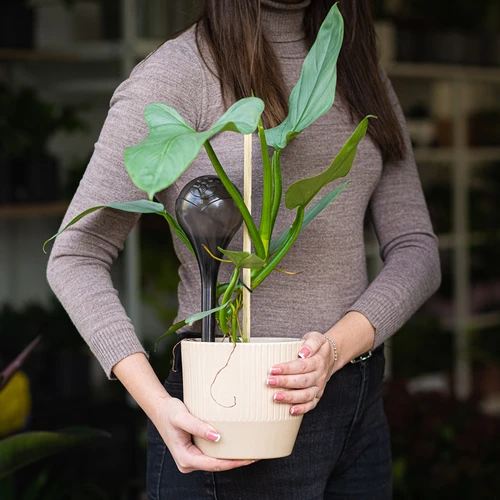 Gietballen voor planten, zwart transparant, 400 ml, 4 stuks - 11 ['gieters', ' bloemen waterdispenser', ' voor het water geven van bloemen', ' bloemenbevochtigers', ' bloemenirrigatie', ' plantenirrigatie', ' potirrigators', ' voor het water geven van bloemen', ' voor kamerplanten', ' irrigatiesysteem', ' gietbal', ' waterdispenser voor potten', ' plantenballen', ' plantendispenser', ' planten water geven', ' gietbal', ' zwarte gietballen', ' loftontwerp', ' transparante gietballen']