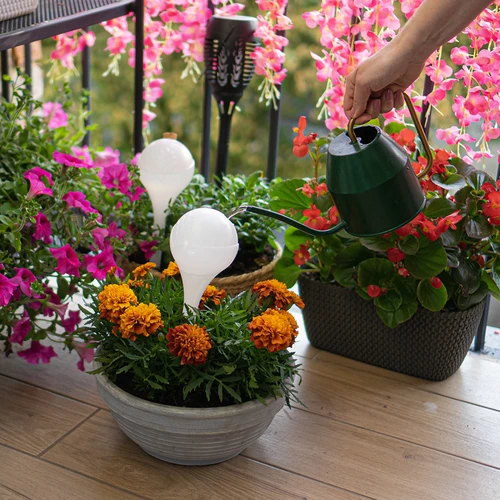 Irrigatieballen voor planten, wit doorschijnend met kurk, 400ml, 4 stuks - 9 ['bloemwaterdispenser', ' voor het water geven van bloemen', ' bloembevochtigers', ' bloemenirrigatie', ' plantenirrigatie', ' potirrigatoren', ' voor het water geven van bloemen', ' voor kamerplanten', ' irrigatiesysteem', ' waterdispenser voor potten', ' plantenballen', ' planten water geven', ' irrigatieballen met kurk']