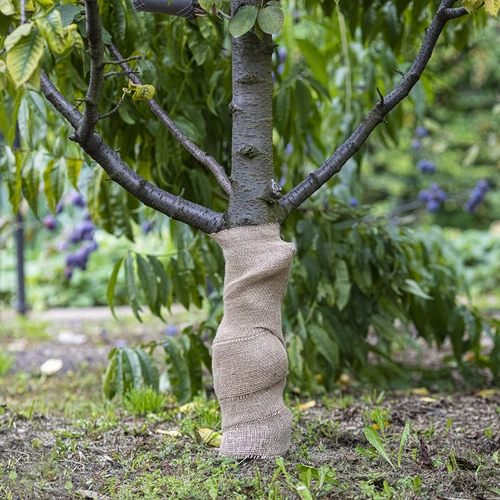 Jute band 10 cm/5 m - 5 ['jute band', ' jute band', ' band voor tomaten', ' band voor komkommers', ' natuurlijke band', ' ecoband', ' band voor binden', ' band voor handwerk', ' jute lint']