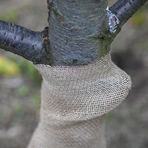 Jute band 10 cm/5 m - 7 ['jute band', ' jute band', ' band voor tomaten', ' band voor komkommers', ' natuurlijke band', ' ecoband', ' band voor binden', ' band voor handwerk', ' jute lint']