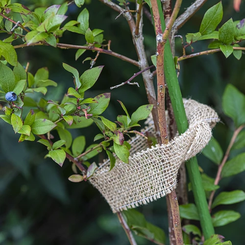 Jute band 5 cm / 8 m - 6 ['jute tape', ' jute band', ' tape for tomatoes', ' tape for cucumbers', ' natural tape', ' eco tape', ' binding tape', ' craft tape', ' jute ribbon']