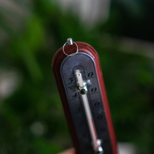Kamertemperatuurmeter met zilveren schaal (-10°C tot +50°C) 16cm mix - 5 ['binnen thermometer', ' kamertemperatuurmeter', ' thermometer voor binnen', ' huisthermometer', ' thermometer', ' houten kamertemperatuurmeter', ' thermometer met duidelijke schaal', ' thermometer met zilveren schaal', ' thermometer om op te hangen', ' traditionele thermometer']