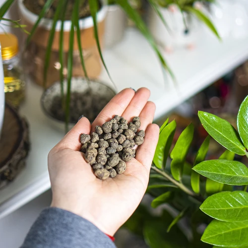 Keramiek voor kamerplanten, tuinieren en bossen in glas, 4-10 mm, 1L - 11 ['keramiek', ' keramiek voor de tuin', ' keramiek prijs', ' plantenafvoer', ' afvoer voor planten in de tuin', ' keramiek voor planten', ' keramiek voor de bodem', ' keramiek voor bossen in glas', ' keramiek voor bossen in een pot', ' plantenbewatering', ' hoe de teelt van planten te verbeteren', ' voor huis en tuin', ' plantenverzorging', ' plantenbescherming', ' hoe zorg je voor planten', ' hoe zorg je voor bloemen in de tuin', ' teelt van kamerplanten', ' middelen voor plantenteelt', ' substraten voor planten', ' planten in huis', ' planten in de tuin', ' tuiniersadvies', ' bloemen in huis', ' bossen in potten', ' planten in glas', ' plantencomposities in glas']