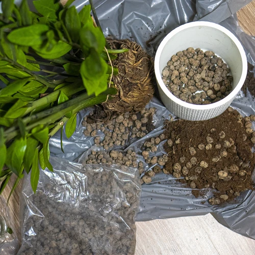 Keramiek voor potplanten, tuinbouw en bossen in glas 10–20 mm, 4L - 8 ['keramiek', ' tuinbouwkeramiek', ' keramiek prijs', ' plantendrainage', ' drainage voor planten in de tuin', ' keramiek voor planten', ' keramiek voor de bodem', ' keramiek voor bossen in glas', ' keramiek voor bossen in een pot', ' plantenbewatering', ' hoe de teelt van planten te verbeteren', ' voor huis en tuin', ' plantenverzorging', ' plantenbescherming', ' hoe zorg je voor planten', ' hoe zorg je voor bloemen in de tuin', ' teelt van potbloemen', ' middelen voor plantenteelt', ' substraten voor planten', ' planten in huis', ' planten in de tuin', ' tuiniersadvies', ' bloemen in huis', ' bossen in potten', ' planten in glas', ' plantencomposities in glas']