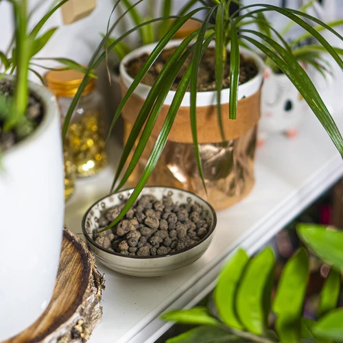 Keramiek voor potplanten, tuinbouw en bossen in glas 10–20 mm, 4L - 10 ['keramiek', ' tuinbouwkeramiek', ' keramiek prijs', ' plantendrainage', ' drainage voor planten in de tuin', ' keramiek voor planten', ' keramiek voor de bodem', ' keramiek voor bossen in glas', ' keramiek voor bossen in een pot', ' plantenbewatering', ' hoe de teelt van planten te verbeteren', ' voor huis en tuin', ' plantenverzorging', ' plantenbescherming', ' hoe zorg je voor planten', ' hoe zorg je voor bloemen in de tuin', ' teelt van potbloemen', ' middelen voor plantenteelt', ' substraten voor planten', ' planten in huis', ' planten in de tuin', ' tuiniersadvies', ' bloemen in huis', ' bossen in potten', ' planten in glas', ' plantencomposities in glas']