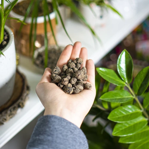 Keramiek voor potplanten, tuinbouw en bossen in glas 10–20 mm, 4L - 11 ['keramiek', ' tuinbouwkeramiek', ' keramiek prijs', ' plantendrainage', ' drainage voor planten in de tuin', ' keramiek voor planten', ' keramiek voor de bodem', ' keramiek voor bossen in glas', ' keramiek voor bossen in een pot', ' plantenbewatering', ' hoe de teelt van planten te verbeteren', ' voor huis en tuin', ' plantenverzorging', ' plantenbescherming', ' hoe zorg je voor planten', ' hoe zorg je voor bloemen in de tuin', ' teelt van potbloemen', ' middelen voor plantenteelt', ' substraten voor planten', ' planten in huis', ' planten in de tuin', ' tuiniersadvies', ' bloemen in huis', ' bossen in potten', ' planten in glas', ' plantencomposities in glas']