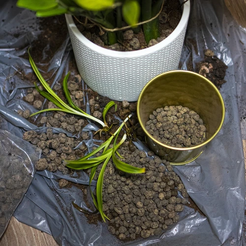 Keramiek voor potplanten, tuinieren en bossen in glas, 4-10 mm, 2L - 8 ['keramiek', ' keramiek voor tuinieren', ' keramiek prijs', ' plantenafvoer', ' afvoer voor planten in de tuin', ' keramiek voor planten', ' keramiek voor grond', ' keramiek voor bossen in glas', ' keramiek voor bossen in pot', ' plantenbewatering', ' hoe de teelt van planten te verbeteren', ' voor huis en tuin', ' plantenverzorging', ' plantenbescherming', ' hoe zorg je voor planten', ' hoe zorg je voor bloemen in de tuin', ' teelt van potbloemen', ' middelen voor plantenteelt', ' substraten voor planten', ' planten in huis', ' planten in de tuin', ' tuiniersadvies', ' bloemen in huis', ' bossen in potten', ' planten in glas', ' plantencomposities in glas']