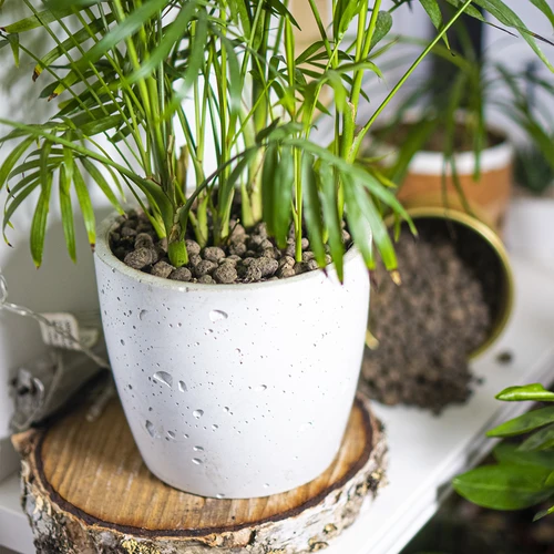 Keramzyt do roślin doniczkowych, ogrodnictwa i lasów w szkle10–20 mm, 4L - 11