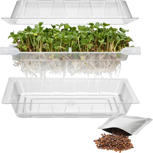 Kiemgroentetoren Groene Kuif met radijszaad  - 1 ['kiemgroenten kweken', ' kiemgroentetoren in bak', ' kiemgroentenschaal', ' Browin kiemgroentetoren', ' kiemgroenten kweken', ' kiemgroentetoren voor zaden', ' radijskiemen', ' broccolikiemen', ' kiemgroentetoren']