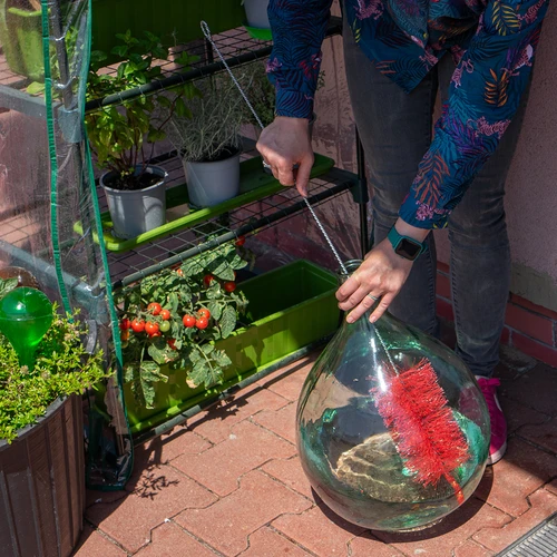 Kleine borstel voor het wassen van ballonnen - 3 ['borstel voor het wassen van ballonnen', ' borstel voor het schoonmaken van ballonnen', ' borstel voor het schoonmaken van wijnballonnen', ' ballonnen wassen', ' ballonnen schoonmaken', ' ballonnen desinfecteren']