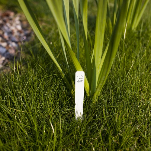 Labels voor plantenbeschrijving + potlood mix 10+20 stuks - 7 ['plantenlabels', ' labels voor plantenbeschrijving', ' voor plantenbeschrijving', ' informatieborden voor planten', ' borden voor planten']