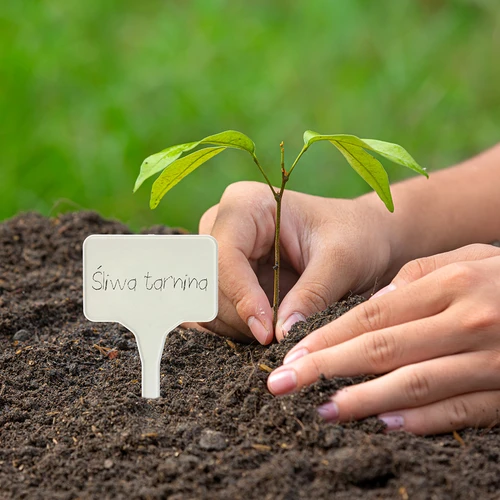 Labels voor plantenbeschrijving + potlood mix 10+20 stuks - 10 ['plantenlabels', ' labels voor plantenbeschrijving', ' voor plantenbeschrijving', ' informatieborden voor planten', ' borden voor planten']