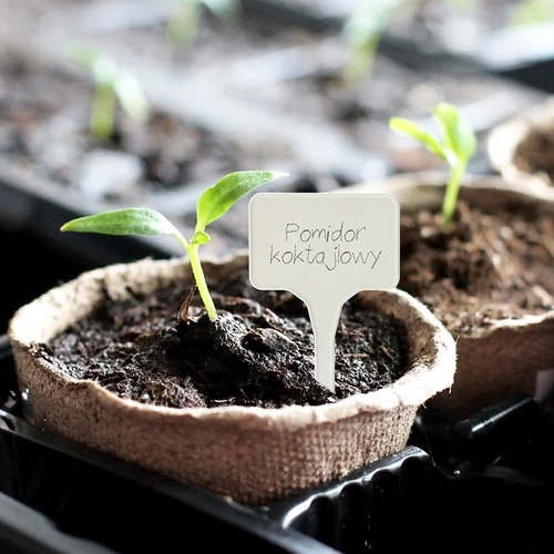 Labels voor plantenbeschrijving + potlood mix 10+20 stuks - 11 ['plantenlabels', ' labels voor plantenbeschrijving', ' voor plantenbeschrijving', ' informatieborden voor planten', ' borden voor planten']