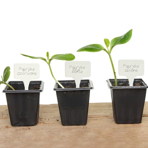 Labels voor plantenbeschrijving + potlood mix 10+20 stuks - 12 ['plantenlabels', ' labels voor plantenbeschrijving', ' voor plantenbeschrijving', ' informatieborden voor planten', ' borden voor planten']