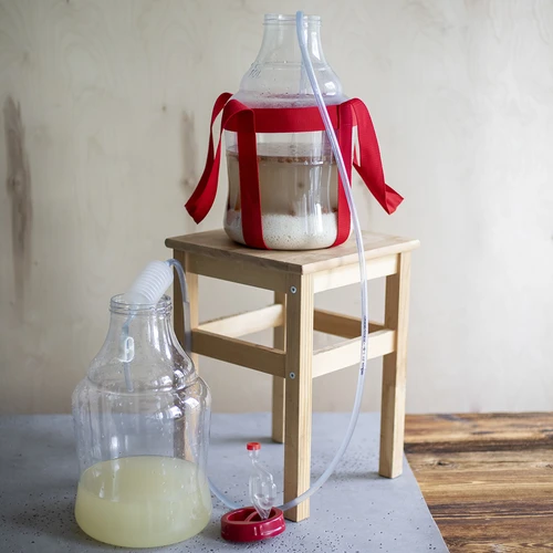 Lichte, onbreekbare wijnballon met draagriemen, 10 L - 16 ['wijnballonnen', ' bierballonnen', ' wijncontainers', ' biercontainers', ' PET-containers', ' breedmondballonnen', ' wijnsets', ' onbreekbare containers', ' fermentatiecontainers', ' fermentatieballonnen', ' ballonnen met schroefdop', ' ballonnen met accessoires', ' wijnnieuwigheden', ' huiswijnen', ' huisbieren', ' draagriemen', ' ballonnen', ' van kunststof', ' onbreekbaar', ' fermentor', ' demijohn', ' mandfles', ' gallon', ' wijn', ' bier', ' met draagriemen', ' set', ' 10L']