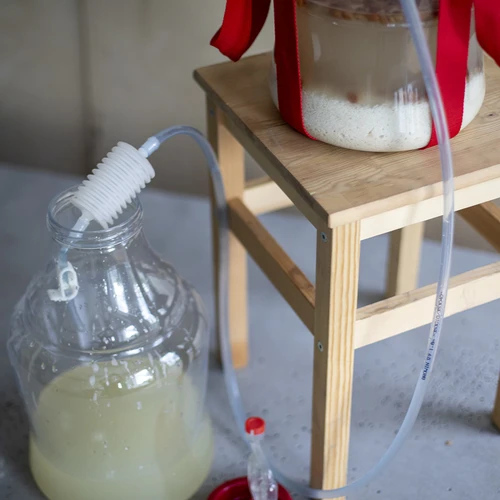 Lichte, onbreekbare wijnballon met draagriemen, 10 L - 12 ['wijnballonnen', ' bierballonnen', ' wijncontainers', ' biercontainers', ' PET-containers', ' breedmondballonnen', ' wijnsets', ' onbreekbare containers', ' fermentatiecontainers', ' fermentatieballonnen', ' ballonnen met schroefdop', ' ballonnen met accessoires', ' wijnnieuwigheden', ' huiswijnen', ' huisbieren', ' draagriemen', ' ballonnen', ' van kunststof', ' onbreekbaar', ' fermentor', ' demijohn', ' mandfles', ' gallon', ' wijn', ' bier', ' met draagriemen', ' set', ' 10L']