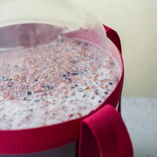 Lichte, onbreekbare wijnballon met draagriemen, 20 L - 17 ['wijnballonnen', ' bierballonnen', ' wijncontainers', ' biercontainers', ' PET-containers', ' breedmondballonnen', ' wijnsets', ' onbreekbare containers', ' fermentatiecontainers', ' fermentatieballonnen', ' ballonnen met schroefdop', ' ballonnen met accessoires', ' wijnnieuwigheden', ' huiswijnen', ' huisbieren', ' draagriemen', ' ballonnen', ' van kunststof', ' onbreekbaar', ' fermentor', ' demijohn', ' mandfles', ' gallon', ' wijn', ' bier', ' met draagriemen', ' set']