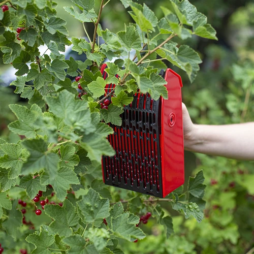 Machine voor het verzamelen van kleine vruchten - 7 ['bessentrekker', ' fruitkam', ' verzamelmachine', ' aalbessentrekker', ' bessen plukken', ' fruit plukken', ' bessenseizoen']