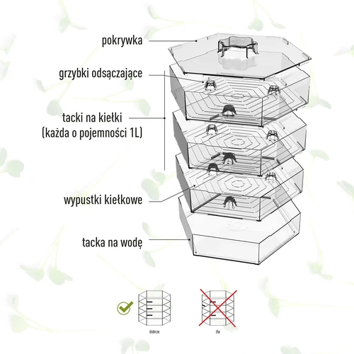 Meerlagige kiemschaal Niezłe Ziółko + 10 verpakkingen zaden - 13 ['gezonde kiemen', ' thuis kiemen kweken', ' veganistisch kiemproduct', ' kiemen kweken thuis', ' kiemschalen', ' kiemschaal voor thuis', ' kiemen kweken', ' zaden om te kiemen', ' kiemschaalset met zaden', ' kiemschaal met zaden', ' kiemschaal met zaadset', ' kiemen', ' kiemen', ' meerlagige kiemschaal', ' kiemschaal']