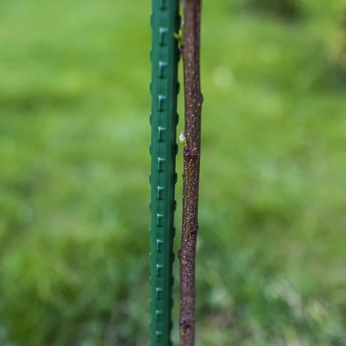 Met PE gecoate stalen stok 1,25m x 11mm - 3 ['stalen plantensteun', ' plantenstok', ' bloemenstok', ' stokken voor potplanten', ' plantenstok castorama']