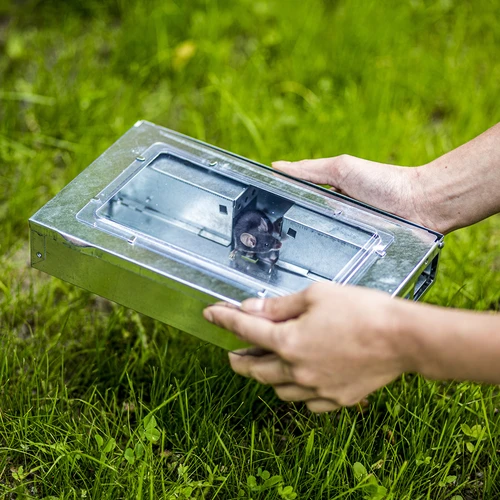 Metalen muizenvanger - levende vangkooi - 9 ['knaagdierenvanger', ' levende vangkooi voor knaagdieren', ' humane methode voor knaagdierbestrijding', ' ecologische knaagdierenvanger', ' bloedloze methode voor knaagdierbestrijding', ' veilige knaagdierenvanger', ' muizen- en rattenvanger', ' ongediertebestrijding zonder gif', ' vanger voor schadelijke knaagdieren', ' knaagdierenvanger voor thuis- en tuingebruik', ' hoekmuizenvanger', ' metalen muizenvanger', ' metalen levende vangkooi']