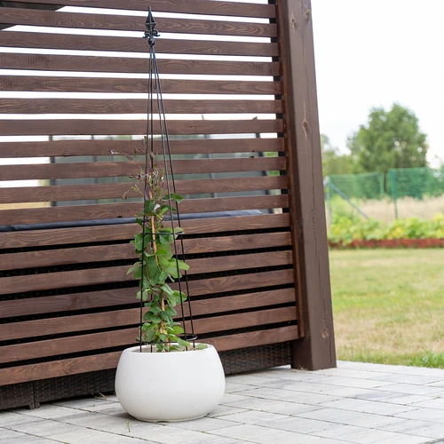 Metalen pergola - Piramide, 135 cm - 4 ['plantensteun', ' voor klimplanten', ' voor rozen', ' voor bonen', ' voor plantenteelt', ' voor rododendrons']