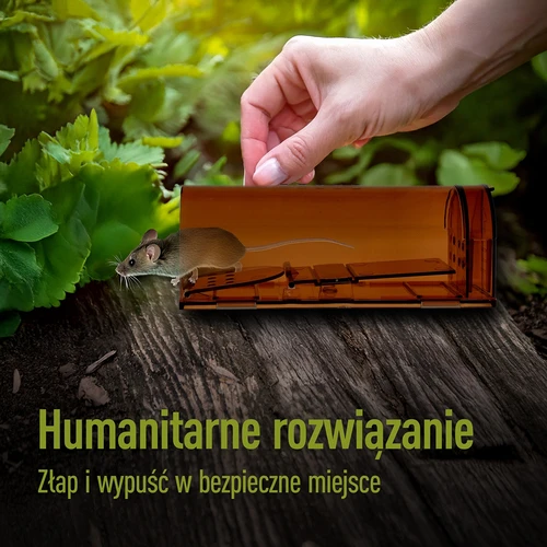 Muizenval – levend vangkooi, transparant, 2 stuks - 7