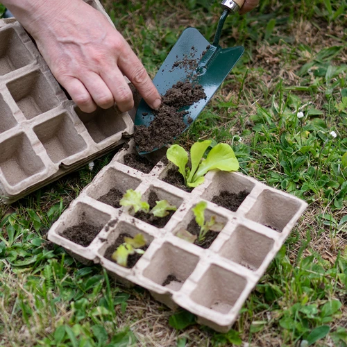 Papieren potten 4,5 x 5 x 4,5, set van 5 stuks. - 5 ['papieren potten', ' papieren pot', ' pot voor zaailingen', ' pot voor kruiden', ' pot voor kruiden', ' hoes van papierpulp', ' papieren hoes', ' potten voor stekken', ' papieren potten voor zaailingen', ' pot voor zaden', ' pot voor zaden.']