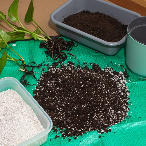 Perliet voor kamerplanten en tuinieren, 2L - 7 ['perliet', ' tuinbouwperliet', ' perliet voor planten', ' perliet voor grond', ' perliet prijs', ' plantendrainage', ' drainage voor planten in de tuin', ' bewatering van planten', ' hoe de plantenteelt te verbeteren', ' voor huis en tuin', ' plantenverzorging', ' plantenbescherming', ' hoe voor planten te zorgen', ' hoe voor bloemen in de tuin te zorgen', ' teelt van kamerplanten', ' middelen voor plantenteelt', ' plantenvoeding', ' plantenkweken', ' substraten voor planten', ' planten in huis', ' planten in de tuin', ' tuiniersadvies', ' bloemen in huis']