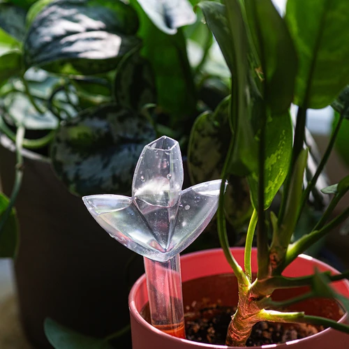 Plantenbesproeier – transparant blad met keramische voet, 120 ml - 10 ['plantenbesproeier', ' besproeier', ' bladvormige besproeier', ' originele besproeier', ' plantenbescherming', ' plantenverzorging', ' bloemenbesproeier', ' besproeiend blad', ' besproeiingsbollen', ' besproeiingsbol', ' designbesproeier', ' hoe zorg je voor planten', ' mooie huisaccessoires', ' designbesproeiers', ' unieke besproeiingsbollen', ' universele besproeier', ' keramische voet', ' keramische besproeier', ' besproeier met keramische voet', ' besproeier voor kleine planten en kamerbloemen']