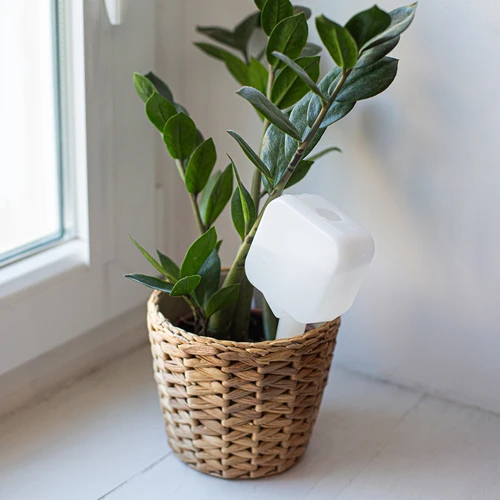 Plantenbesproeier – wit bordje, 200 ml - 9 ['plantenbesproeier', ' besproeier', ' besproeier in de vorm van een bordje', ' originele besproeier', ' plantenbescherming', ' plantenverzorging', ' bloemenbesproeier', ' besproeiingsbordje', ' besproeiingsbollen', ' besproeiingsbol', ' designbesproeier', ' hoe zorg je voor planten', ' mooie huisaccessoires', ' designbesproeiers', ' unieke besproeiingsbollen', ' universele besproeier']