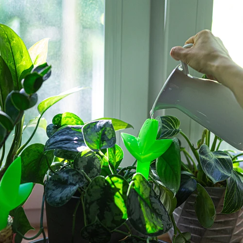 Plantengieter – groen blad met keramische voet, 120 ml - 8 ['plantengieter', ' gieter', ' gieter in de vorm van een blad', ' originele gieter', ' plantenbescherming', ' plantenverzorging', ' bloementuit', ' watergevend blad', ' watergevende bollen', ' watergevende bol', ' design gieter', ' hoe zorg je voor planten', ' mooie huisaccessoires', ' design gieters', ' unieke watergevende bollen', ' universele gieter', ' groene gieter', ' gieter voor kleine planten en kamerbloemen', ' keramische voet', ' keramische gieter', ' gieter met keramische voet']