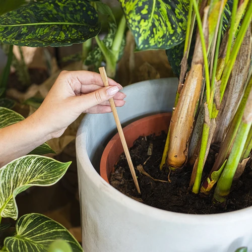 Plantengieter – transparant blad, 120 ml - 6 ['plantengieter', ' gieter', ' gieter in de vorm van een blad', ' originele gieter', ' plantenbescherming', ' plantenverzorging', ' bloemen gieter', ' watergevend blad', ' watergevende bollen', ' watergevende bol', ' design gieter', ' hoe zorg je voor planten', ' mooie huisaccessoires', ' design gieters', ' unieke watergevende bollen', ' universele gieter', ' transparante gieter', ' gieter voor kleine planten en potbloemen']