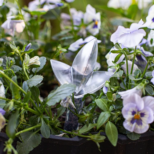 Plantengieter – transparant blad, 120 ml - 8 ['plantengieter', ' gieter', ' gieter in de vorm van een blad', ' originele gieter', ' plantenbescherming', ' plantenverzorging', ' bloemen gieter', ' watergevend blad', ' watergevende bollen', ' watergevende bol', ' design gieter', ' hoe zorg je voor planten', ' mooie huisaccessoires', ' design gieters', ' unieke watergevende bollen', ' universele gieter', ' transparante gieter', ' gieter voor kleine planten en potbloemen']