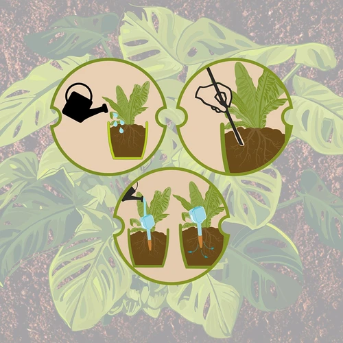 Plantengieter - wit bord met keramische voet, 200 ml - 12 ['plantengieter', ' gieter', ' gieter in de vorm van een bord', ' originele gieter', ' plantenbescherming', ' plantenverzorging', ' bloementuit', ' waterbord', ' gietballen', ' gietbal', ' designgieter', ' hoe zorg je voor planten', ' mooie huisaccessoires', ' designgieters', ' unieke gietballen', ' universele gieter', ' keramische voet', ' keramische gieter', ' gieter met keramische voet']