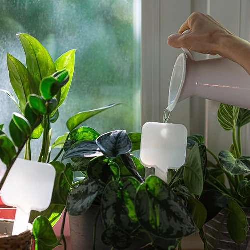 Plantengieter - wit bord met keramische voet, 200 ml - 8 ['plantengieter', ' gieter', ' gieter in de vorm van een bord', ' originele gieter', ' plantenbescherming', ' plantenverzorging', ' bloementuit', ' waterbord', ' gietballen', ' gietbal', ' designgieter', ' hoe zorg je voor planten', ' mooie huisaccessoires', ' designgieters', ' unieke gietballen', ' universele gieter', ' keramische voet', ' keramische gieter', ' gieter met keramische voet']